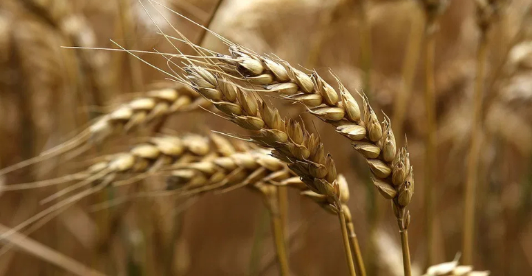 Celebração da Quinta-feira de Ascensão